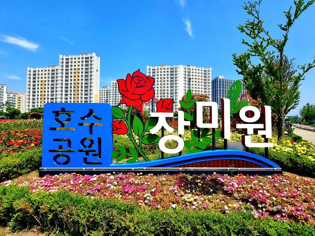 김포 한강신도시 호수공원: 장미의 계절, 발길을 잡는 풍경