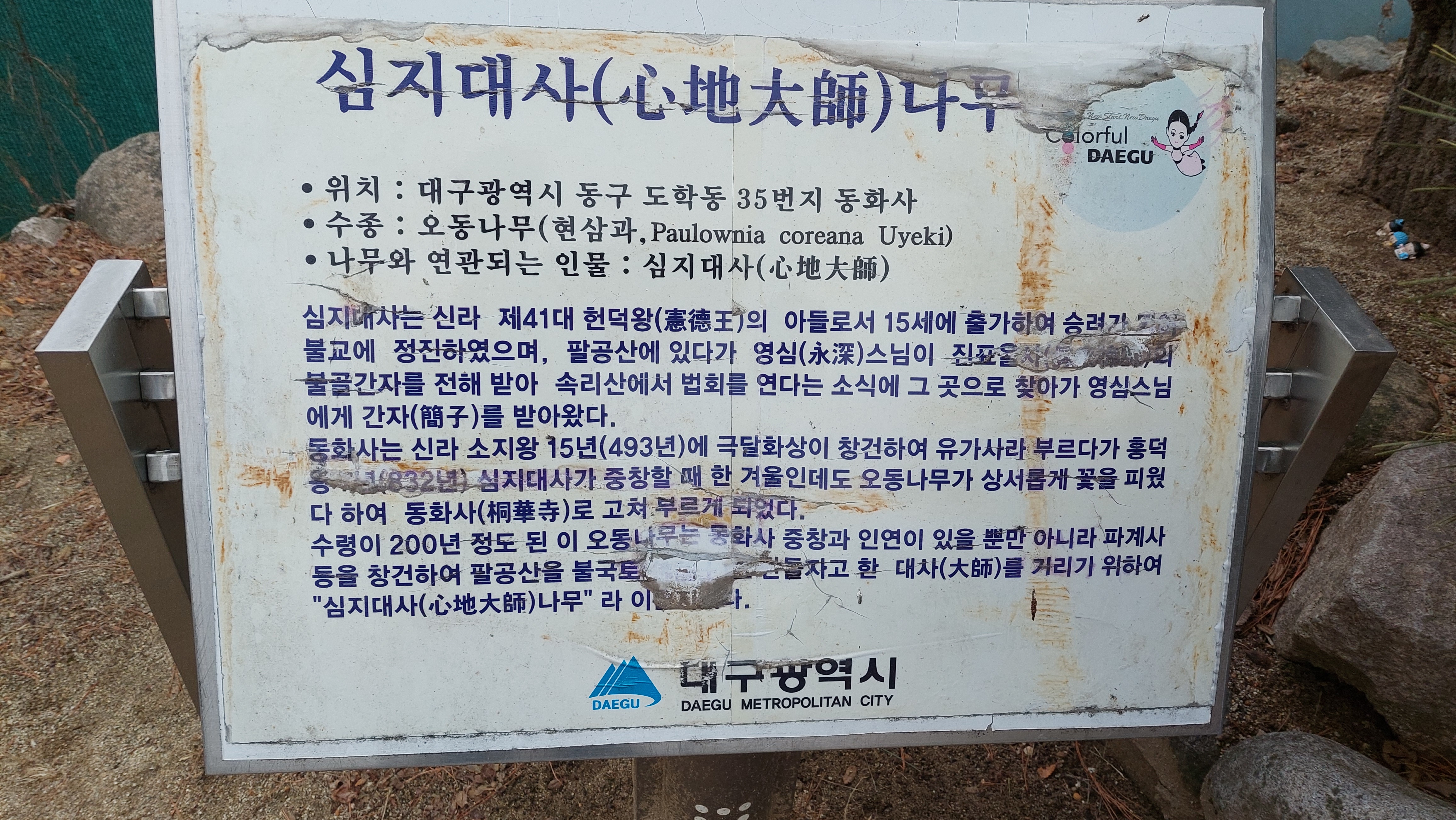 팔공산 동화사 119