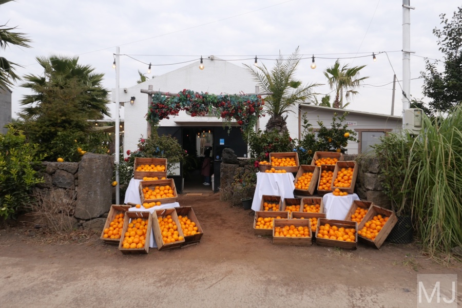 어린왕자 체험 in 감귤밭 카페 51