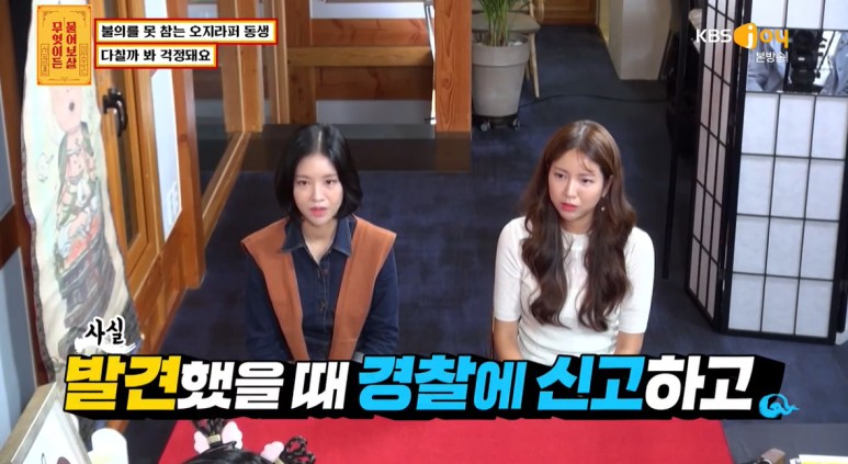 낫을 든 길고양이 상해범과 싸운 여자...jpg | 인스티즈