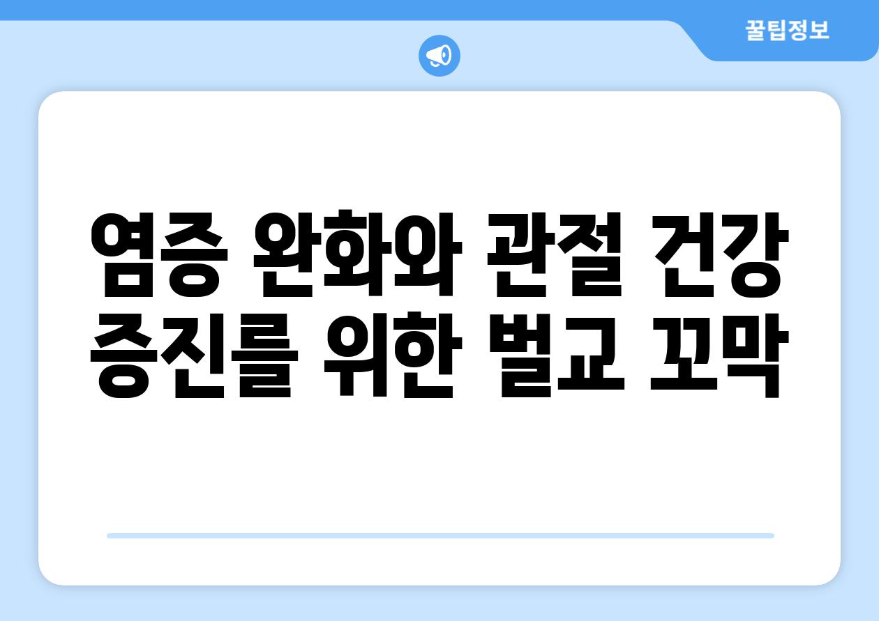 염증 완화와 관절 건강 증진를 위한 벌교 꼬막