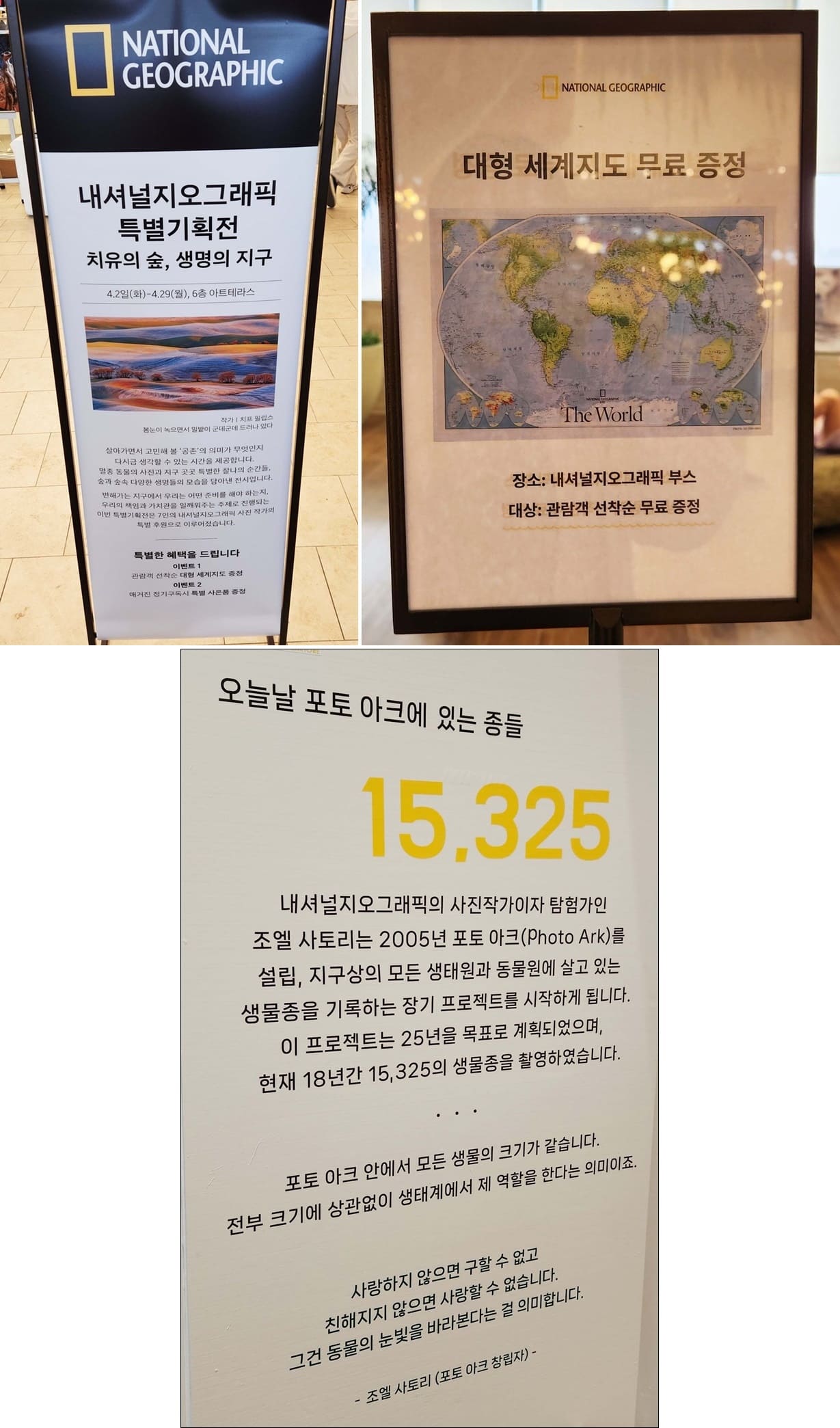 대전-신세계백화점-내셔널지오그래픽-특별기획전-안내-사진