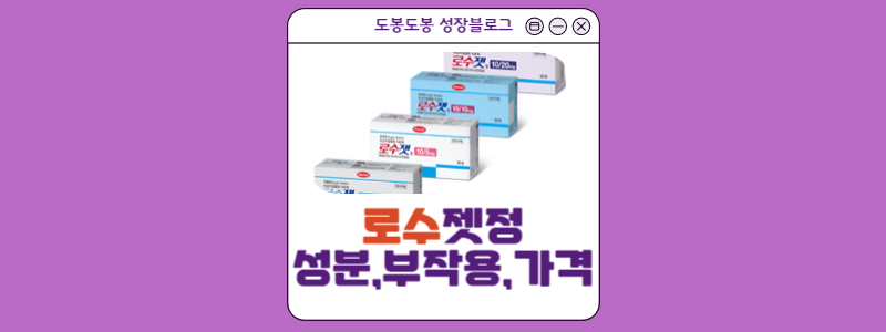  로수젯정 효과,성분정보,가격,부작용