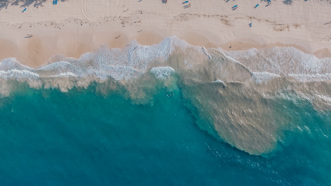 Tide