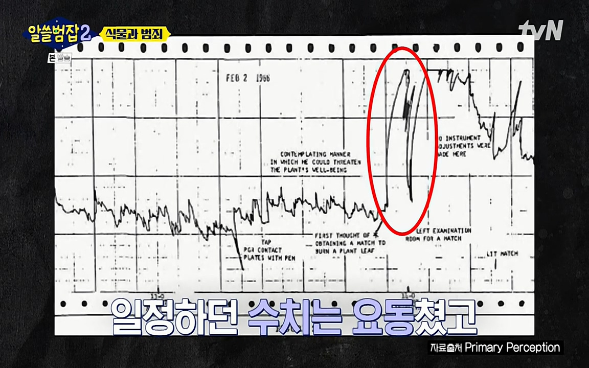 알쓸범잡 2.E15.220425p-NEXT.mp4_20220425_175104.970.jpg