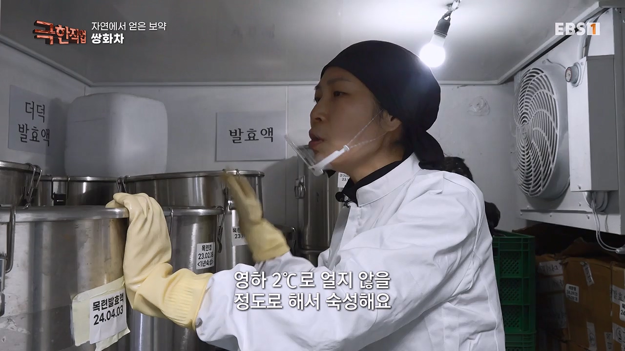 TV - 전 국민의 평생학교 EBS자연에서 얻은 보약, 상황버섯과 산나물, 쌍화차.mp4_20240615_172255.104.jpg