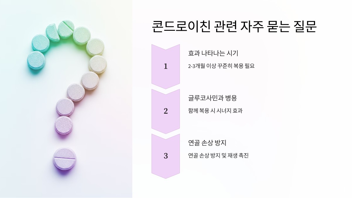 콘드로이친 효능
