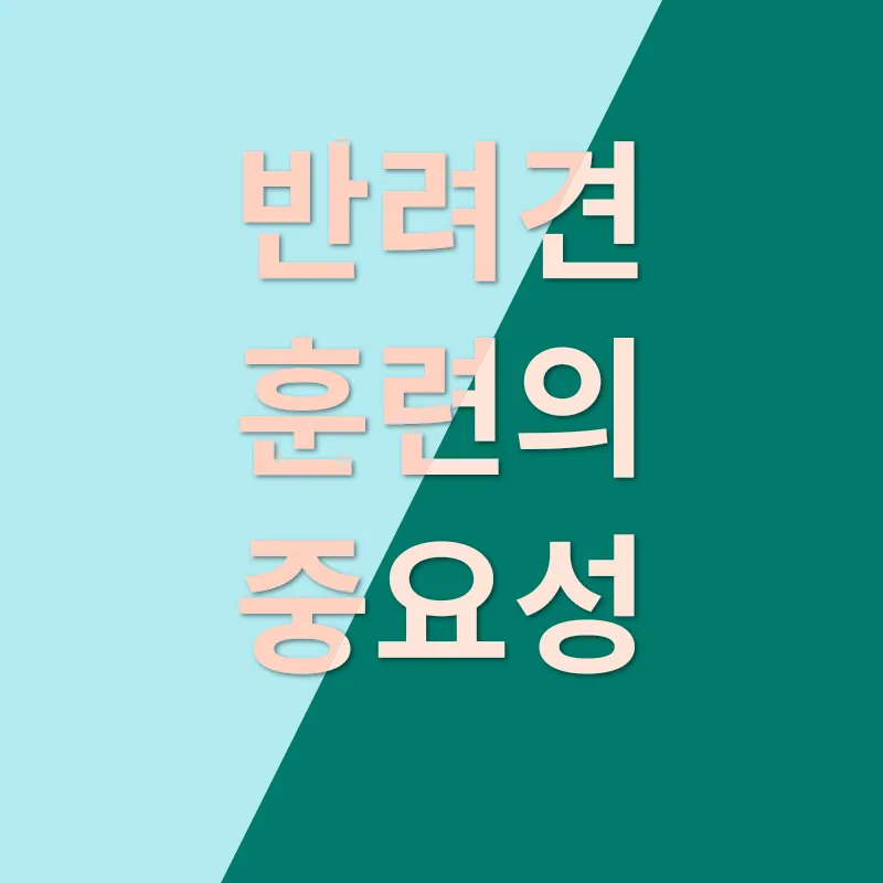 반려동물 장례_4
