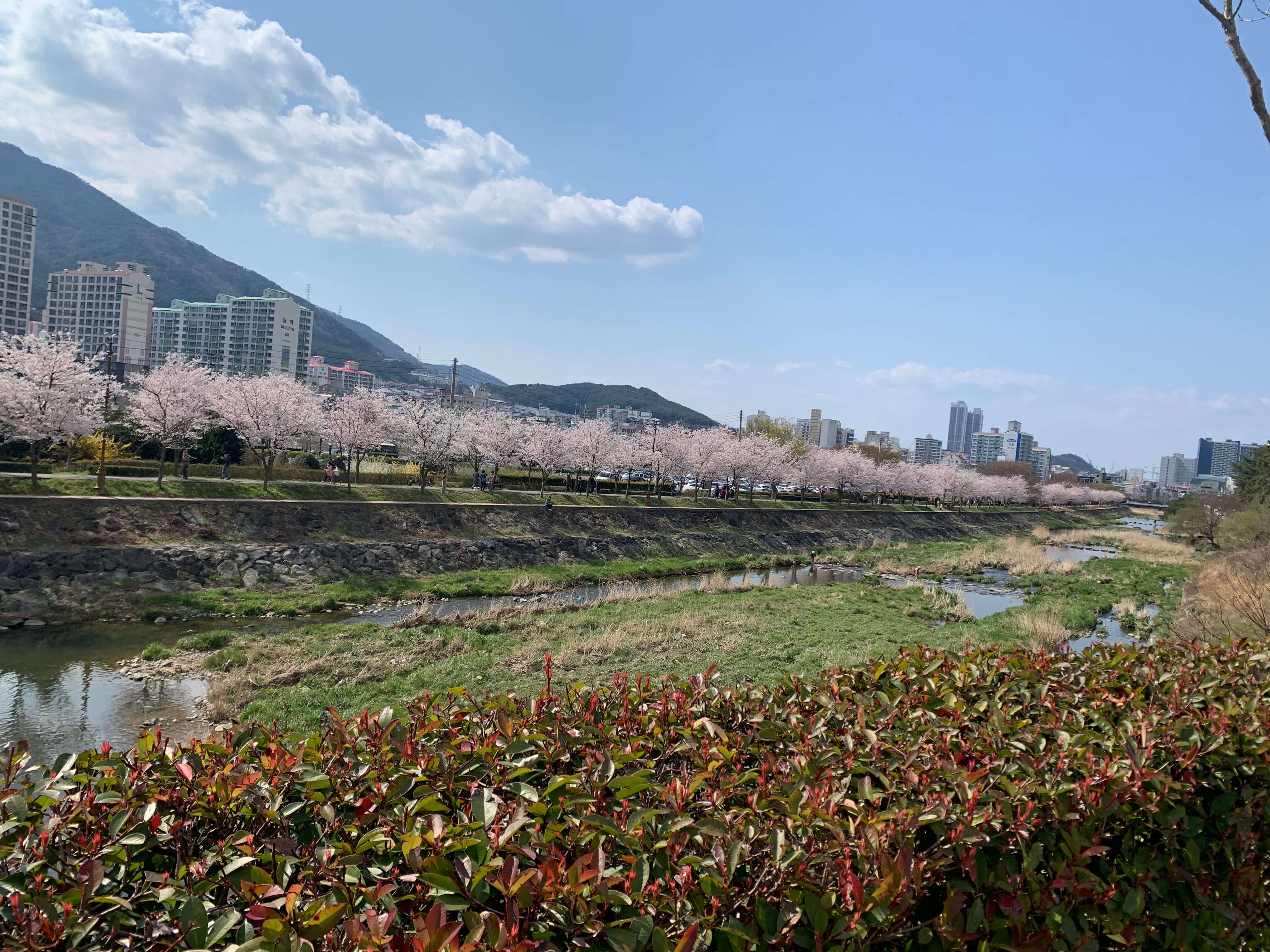 독봉산웰빙공원-둑길-사진