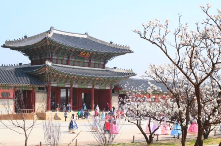 벚꽃명소-서울-경복궁