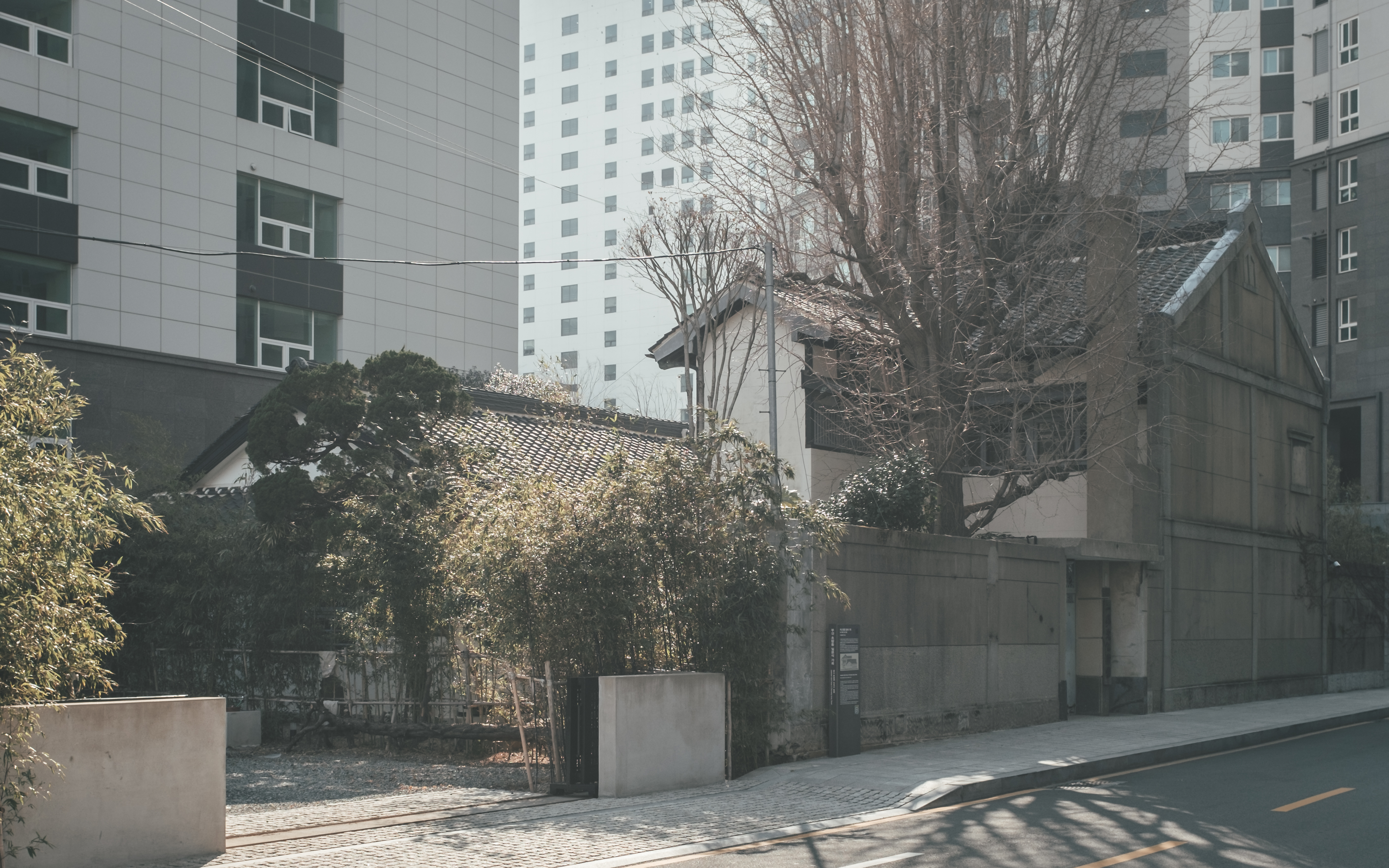 푸른적산 이미지