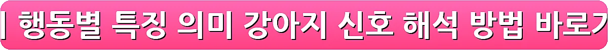 강아지 행동별 특징 의미 강아지 신호 해석 방법_14