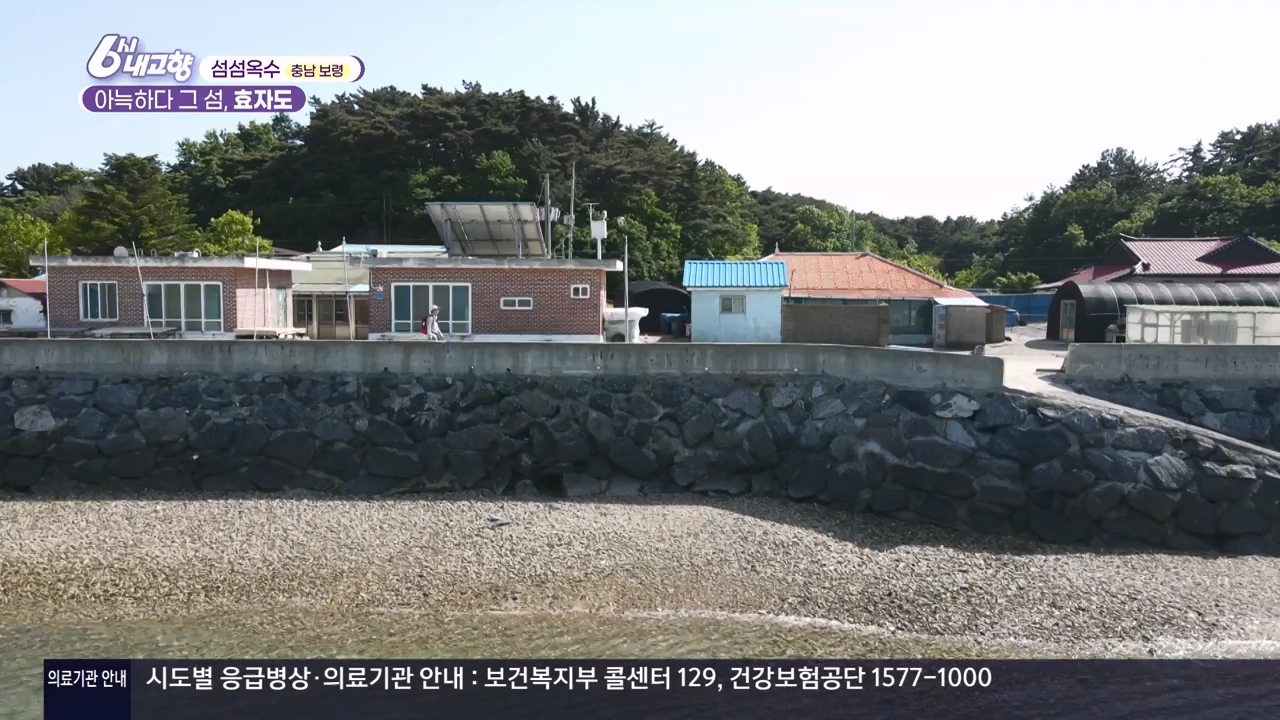 6시 내고향.E8057.240525p-NEXT.mp4_20240525_162224.082.jpg