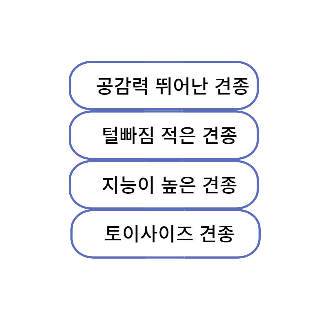 털빠짐 적은 견종 추천