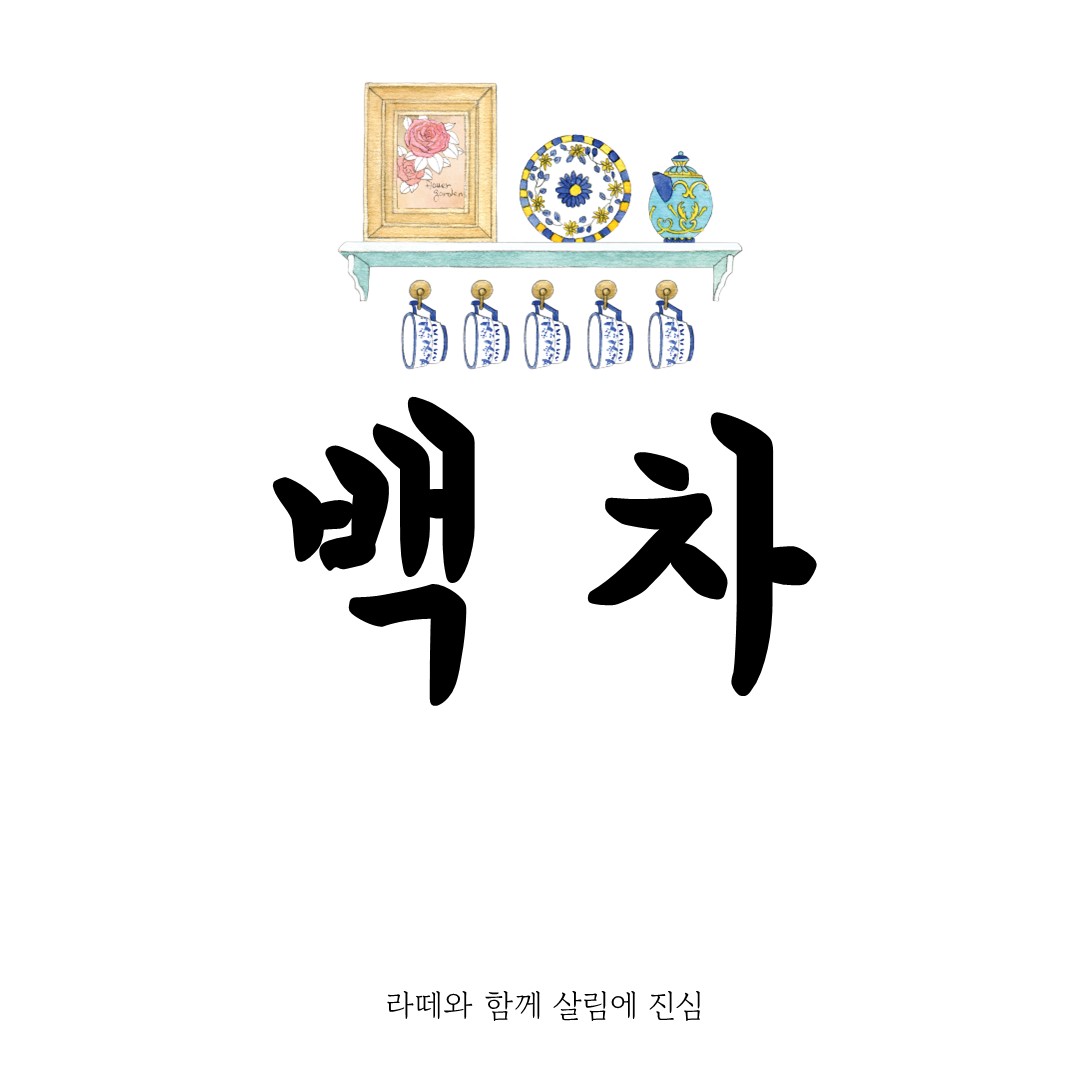 백차 완벽 정리: 종류, 효능, 즐기는 법