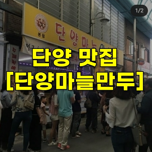  단양 마늘만두 리뷰~  [단양 맛집 정보]