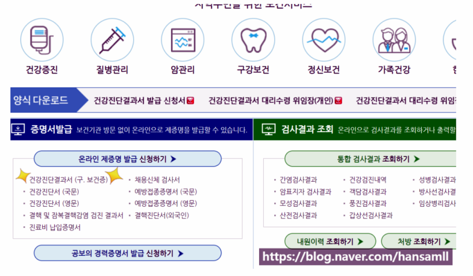 건강인증서 유형, 항문검사 및 건강인증서 재발급/발급 방법 3