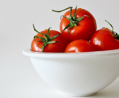 토마토보관방법 설명