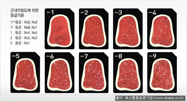 경북식당 이미지