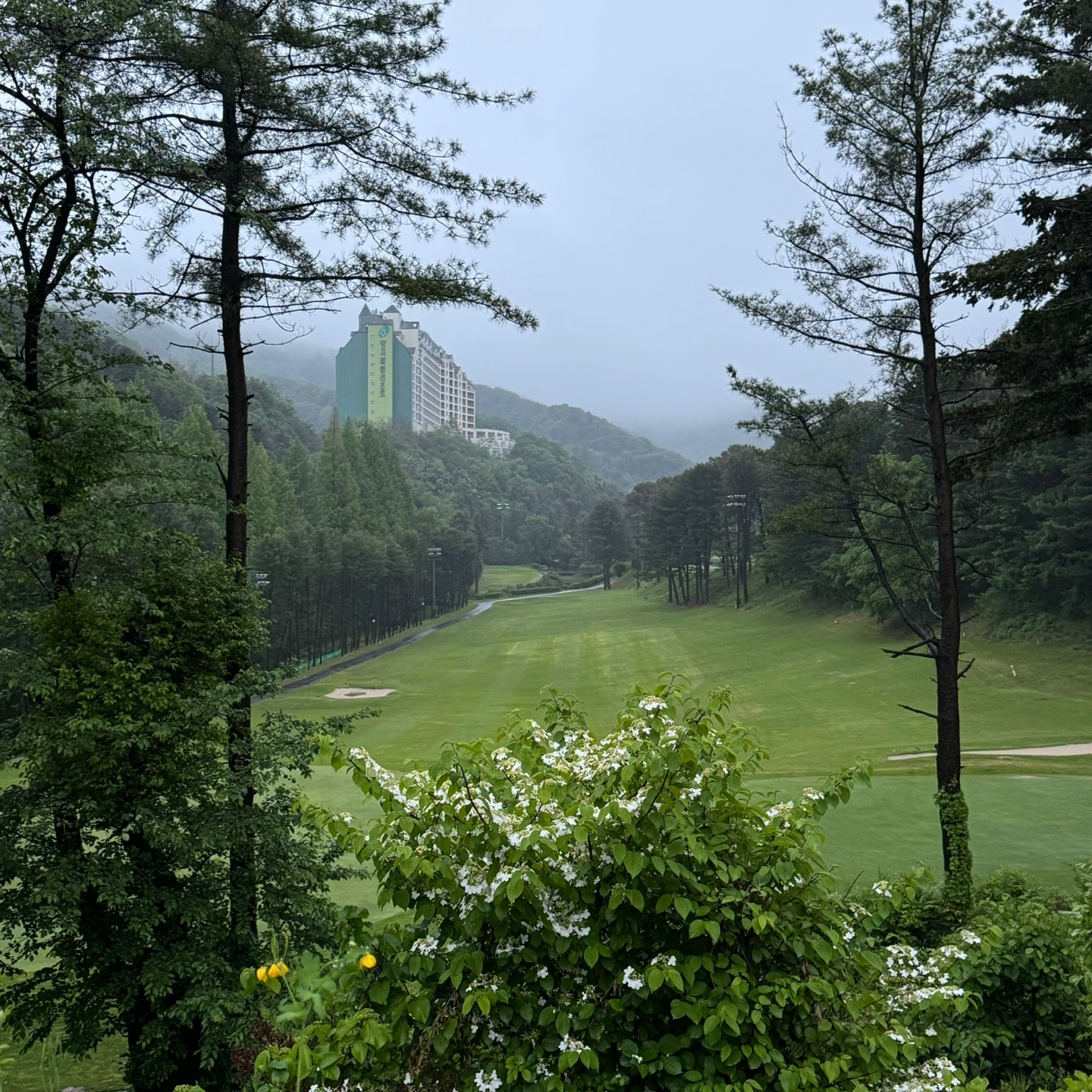양지파인cc클럽하우스 이미지