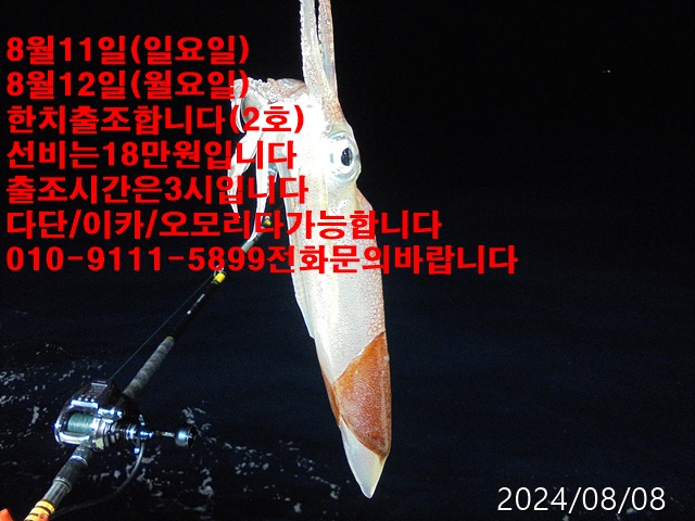 img.jpg