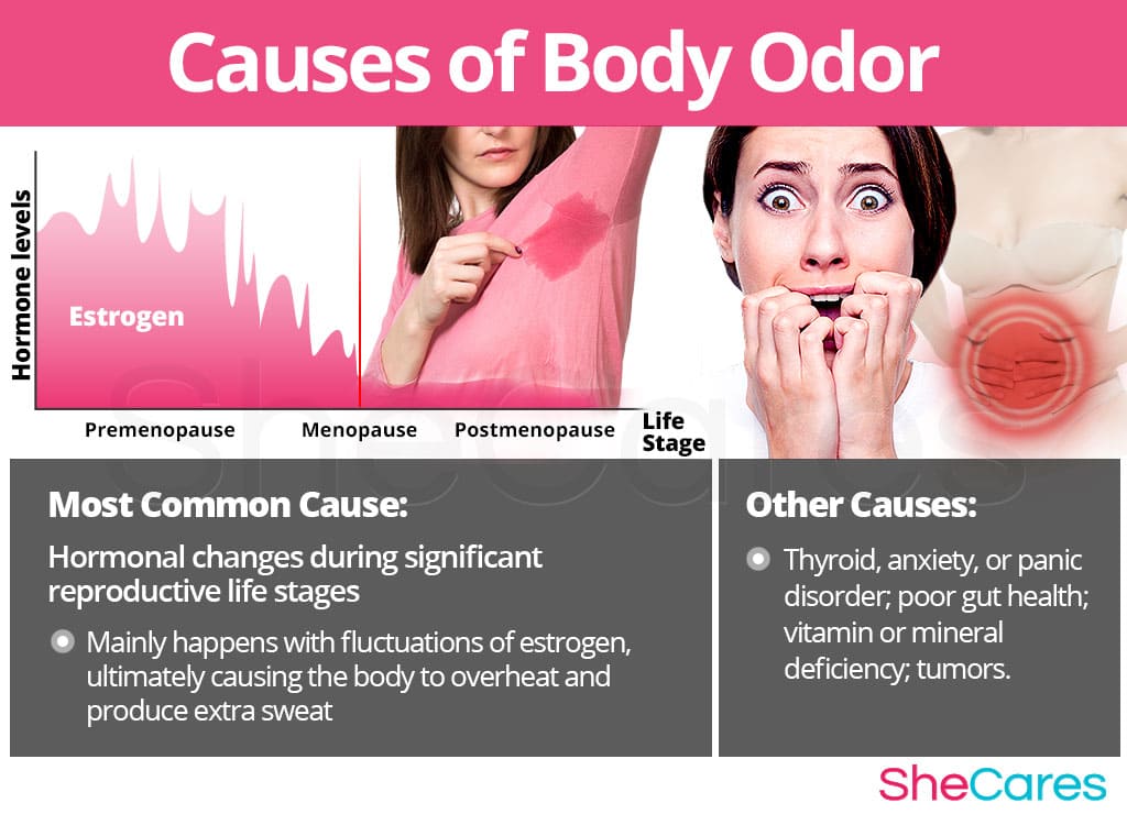 몸 냄새...어디서 이렇게 나지?...청결하게 관리하는 법 How To Solve Every Type Of Body Odor