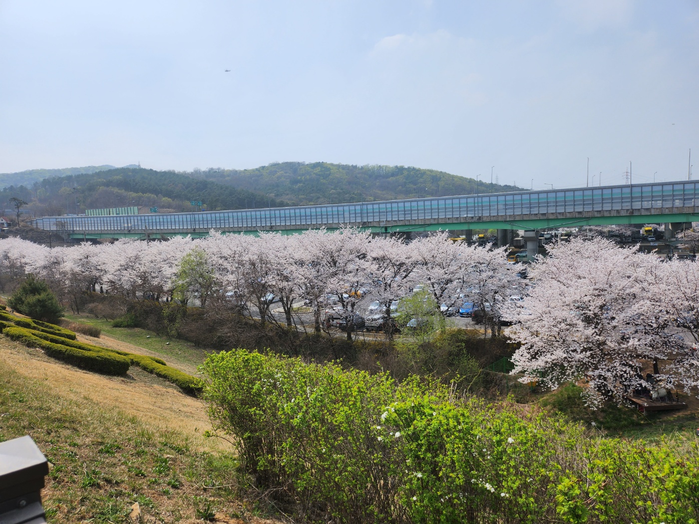  의왕 백운호수 벚꽃과 호수 뷰 카페(23.04.02)