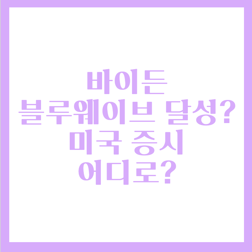  바이든의 블루웨이브 달성? 미국증시는 어디로?