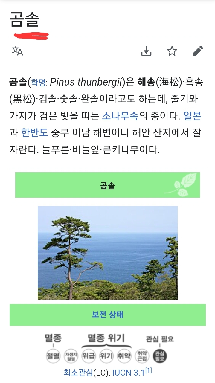 씨름판 기술의 6
