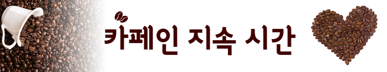  카페인 지속시간 | 커피 종류별 카페인 지속시간 | 카페인 효과 | 카페인 지속 효과