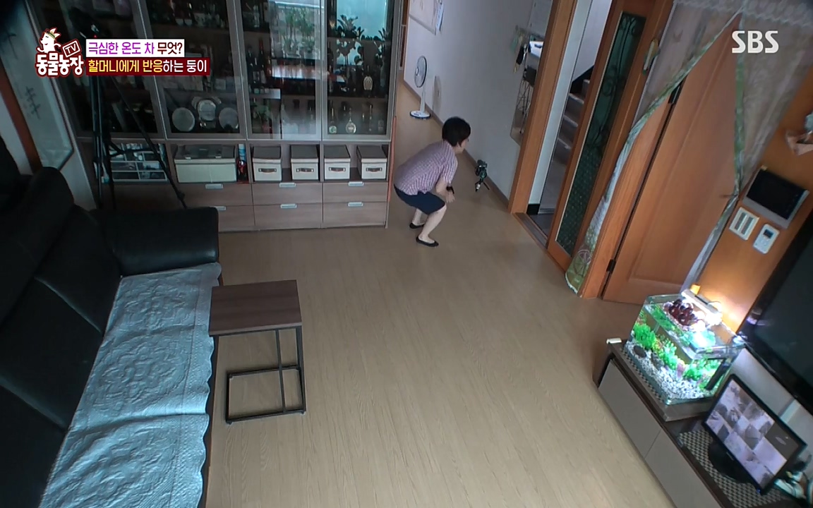 TV 동물농장.E1085.220905p-NEXT.mp4_20220904_173526.868.jpg