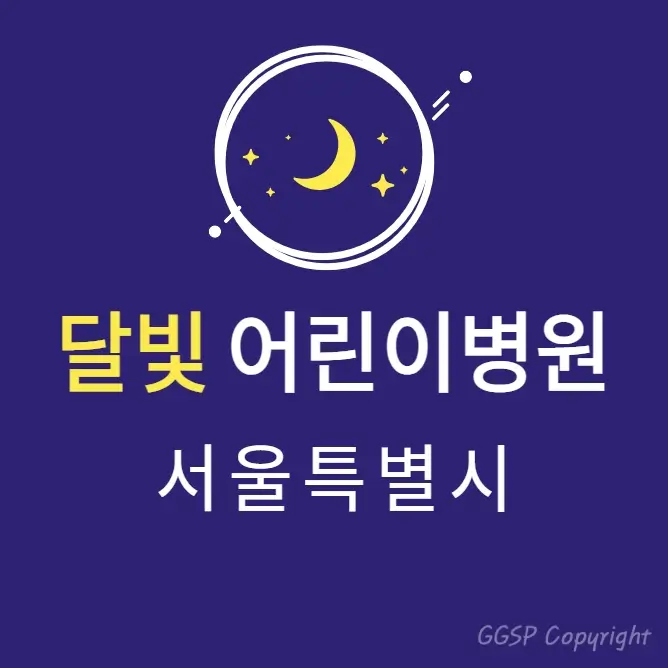  서울 달빛어린이병원 4곳 | 강남 서초 용산 노원 | 야간 휴일진료 소아과