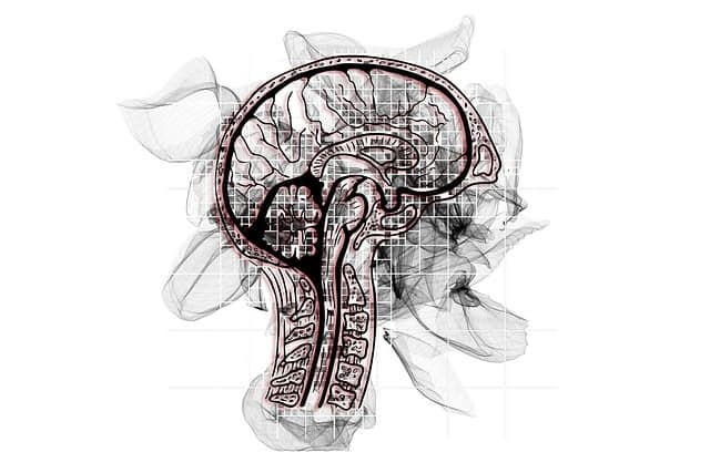 알츠하이머병 연구와 Brain-on-a-Chip – 신경질환 치료의 미래