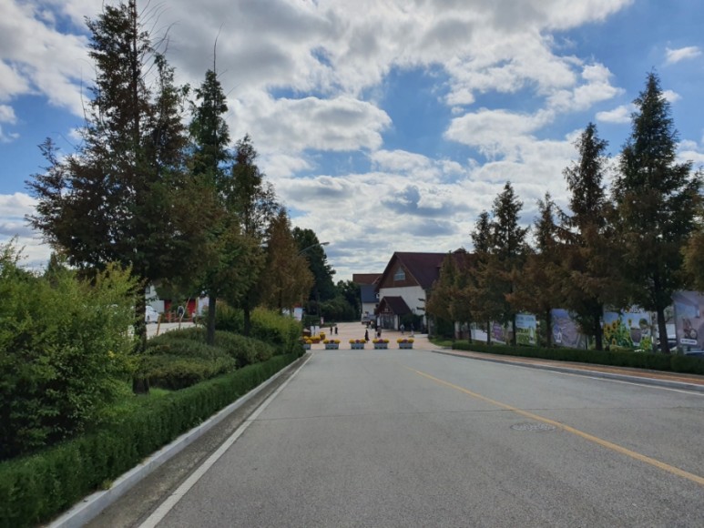 평일 입장료 할인행사 중 안성팜랜드 동물체험 핑크뮬리, 4