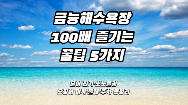  제주 금능해수욕장 100배 즐기는 꿀팁 5가지 (문어 잡기·스노클링·오징어 미끼·물때·주차)