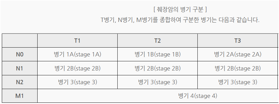췌장암의 진행단계
