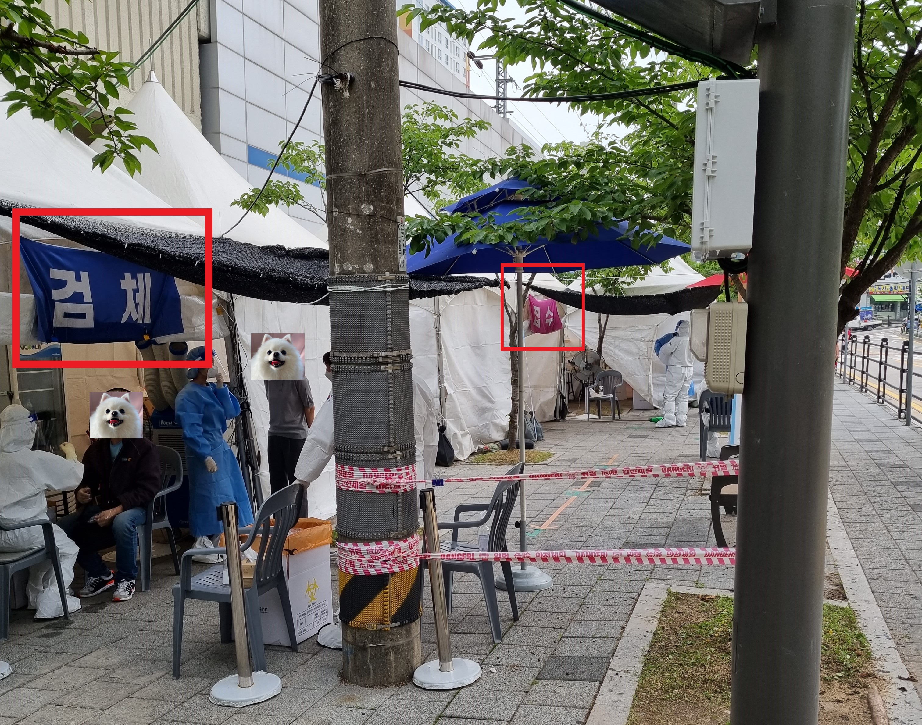  선별진료소와 임시선별검사소  리뷰(선별진료소와 임시선별검사소차이 / 선별진료소와 임시선별검사소 검사 비용 / 선별진료소와 임시선별검사소 뜻)