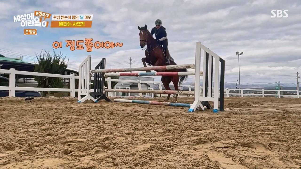 순간포착 세상에 이런일이.E1267.240303p-NEXT.mp4_20240303_162009.147.jpg