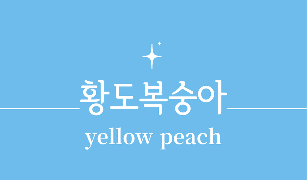 '황도복숭아(yellow peach)'
