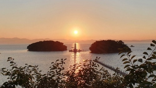 img.jpg