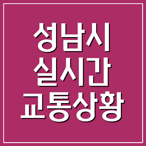  성남시 실시간 교통상황 및 CCTV 영상