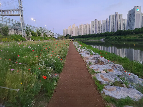 산책길 꽃밭