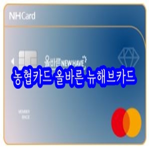  [카드혜택정리] 농협카드… 올바른 뉴해브카드