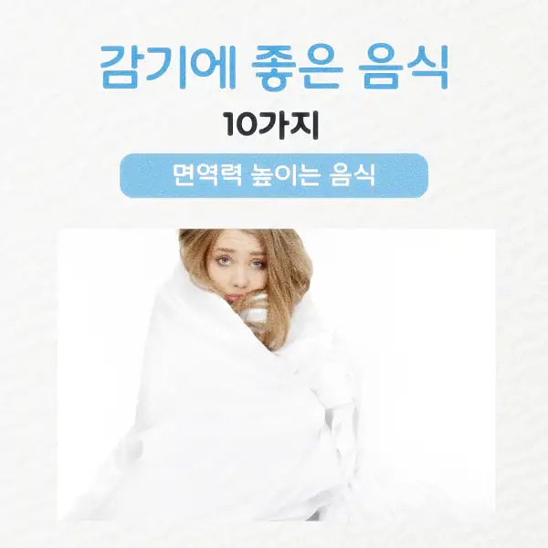 감기에 좋은 음식