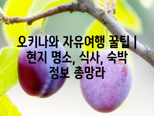 랜덤185