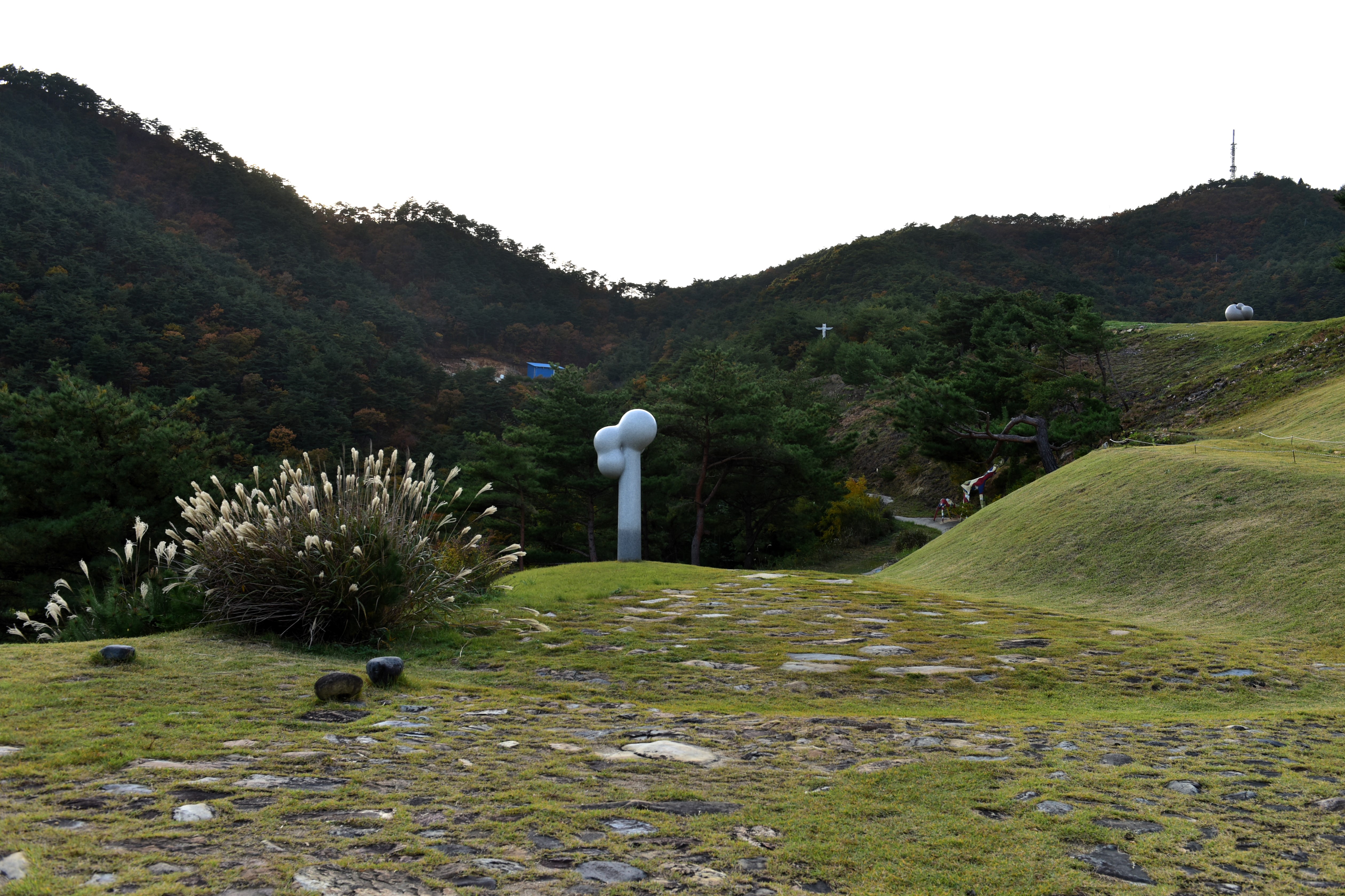 하슬라 이미지