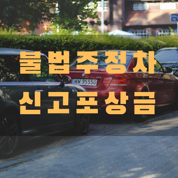 불법주정차 신고 포상금 썸네일