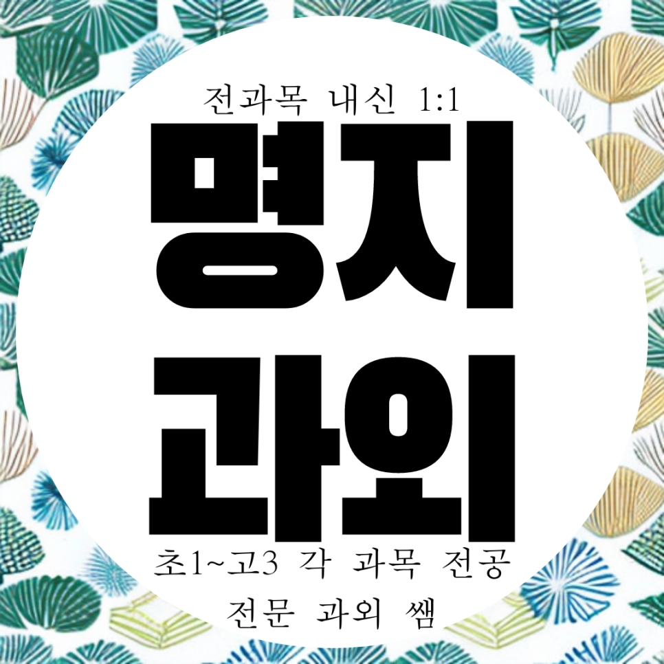  명지 고등 수학과외 중학생 영어과외 명지동 중등 국영수 전문 명호고 내신 대비