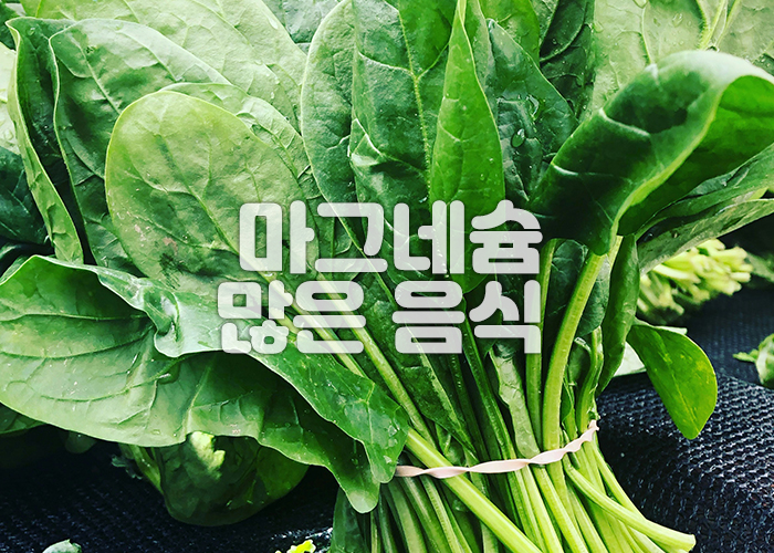 시금치 이미지