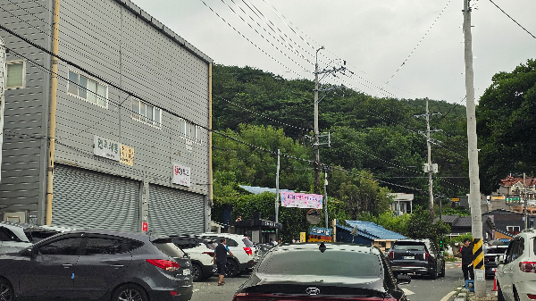 김해 수안마을 수국축제 후기 와 임시주차장